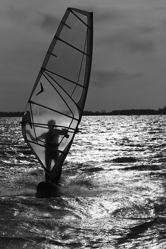 Windsurfer auf dem Grevelinger Meer im Gegenlicht