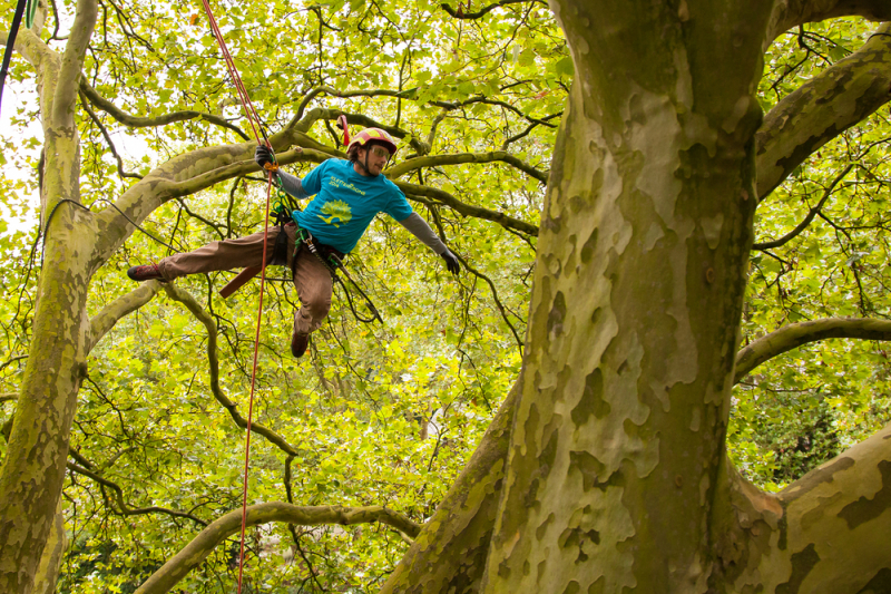 Kletterkrone 2014