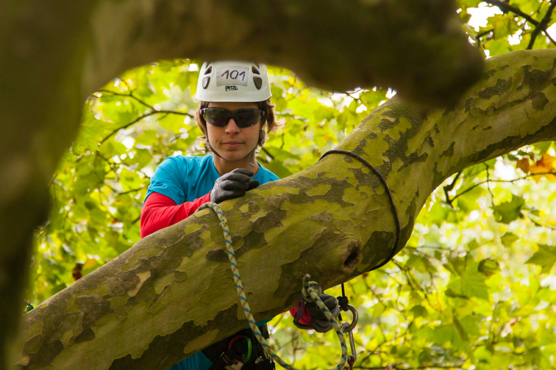 Kletterkrone 2014