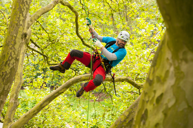 Kletterkrone 2014