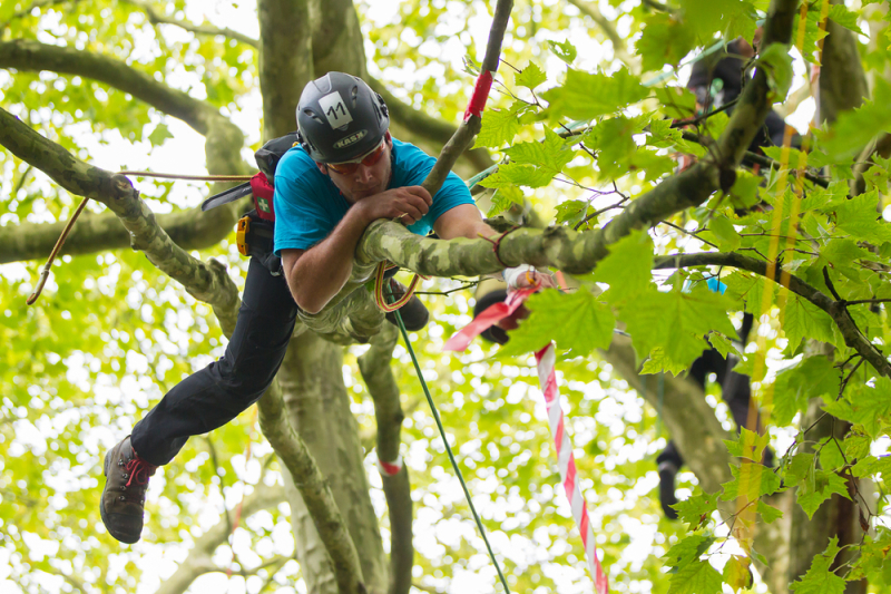 Kletterkrone 2014